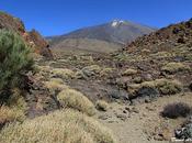 Parque Nacional Teide