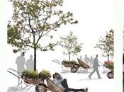 Publicidad sobre paisajismo