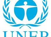 Premio Campeones Tierra 2012