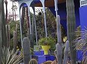 Visitando Jardines: jardín Yves Saint Laurent