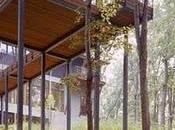 Moderna casa bosque