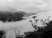 Cumbres borrascosas
