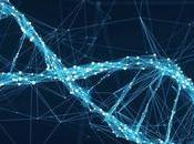 ¿Qué prueba genealógica ADN?