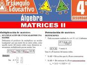 Matrices para Cuarto Secundaria