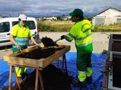 Ponferrada pone objetivo animar 1.000 viviendas medio rural barrios periféricos realizar compostaje doméstico