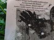 Cuentos pequeñitos alma sabia