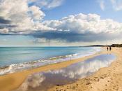 clima Elche, características tiempo todo