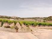 Bodegas comenge "todo empieza viña"