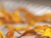 cerezas Tomás Sánchez Santiago