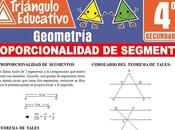 Proporcionalidad Segmentos para Cuarto Secundaria