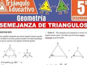 Problemas Semejanza Triángulos para Quinto Secundaria
