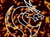 Carey estrenan Comida Dragón