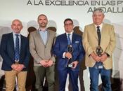 solutions technology, empresas nazarenas galardonadas xiii premios excelencia pymes andaluzas