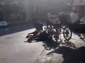 63.000 firmas para exigir prohibición galeras Palma.