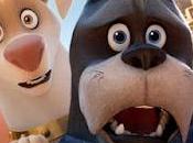 Liga Supermascotas: Animales rescate