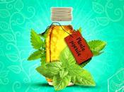 ¿Para sirve hoja menta?