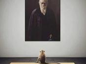 235/365 Charles Darwin