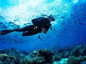 Practicar buceo Murcia Diveasapp