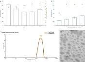 Desarrollan prometedora tableta insulina oral