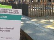 presencia ratas hace cerrar parque infantil Eixample