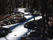 Stone River Piasecki.