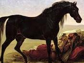 CABALLO ÁRABE. Fábula
