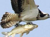 Cuento surrealista: Enfermedad cosas