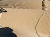 soga cuello: cruzada