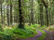 programa salud medioambiental WellWo para crear conciencia cómo cuidar planeta