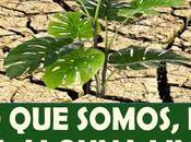 hemos estar AGRADECIDOS NUESTROS DEFECTOS