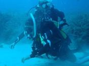 Cursos perfeccionamiento buceo, Scuba Plus