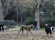 Estrenan macroáreas para perros Barcelona