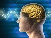 Capacidades cognitivas nucleares robótica