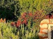 Balcón Alboreca, piedra preciosa Sierra Norte Guadalajara