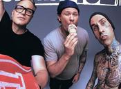 BLINK Edging