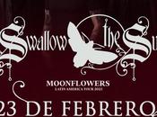 Swallow llega primera Chile