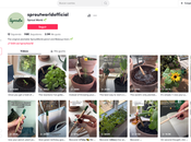 Cómo convertir empresa viral gracias TikTok, según SproutWorld