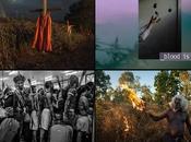 entrada gratis domingos abre Barcelona exposición World Press Photo 2022