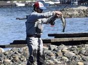 Cada pescadores eligen ambientes Neuquén