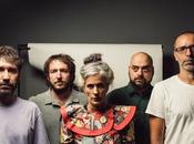 España Punsetes salga cojones