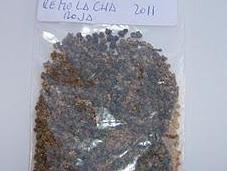 remolacha roja