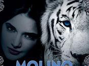 Primer capítulo maldición Tigre'