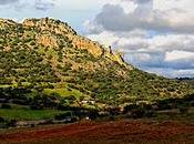 Licitación pública Minas Almadén Arrayanes, S.A.