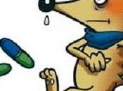 Farmacéuticos comunitarios médicos atención primaria unen para fomentar buen antibióticos