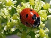 Tres modos narrar misma historia