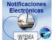 Notificaciones electrónicas: análisis obligatoriedad ventajas para empresas instituciones