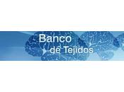 Donar cerebro