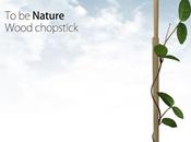 Nature Wood Chopstick palillos semillas