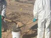 Gobierno Estatal mantiene acciones permanentes para búsqueda personas desaparecidas localizadas