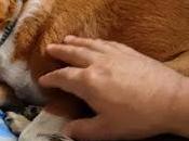 jueves, relato (Vol. XXXIV): ¿Qué habrá sido de...?